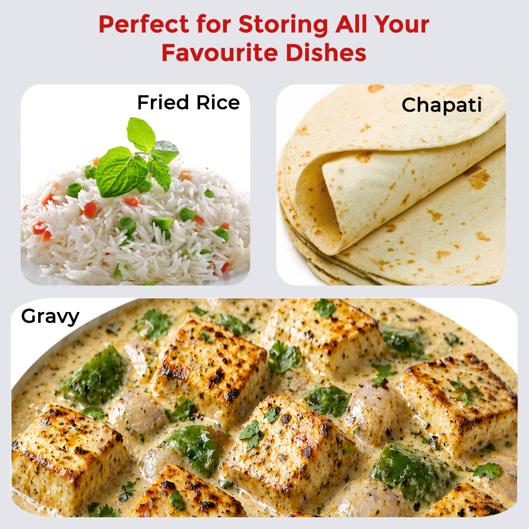 AVIAS Fabius Vacuum Insulated Casserole, Stainless Steel Hot & Cold Box with Twist Lock, Steel Hot Case for Roti, Rice, Gravy & Chapathi Box